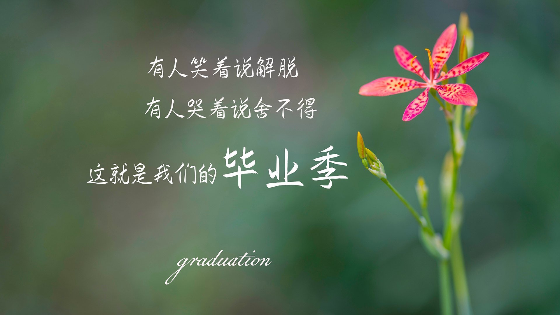 爱游戏官方主页-CBA多支球队加强教练团队建设，cba篮球教练有哪些  第1张