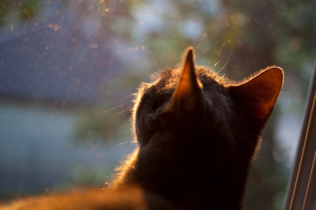 爱游戏体育在线赛事-WTT大满贯赛王曼昱横扫晋级八强,王曼昱大满贯缺什么 第2张 爱游戏体育在线赛事-WTT大满贯赛王曼昱横扫晋级八强,王曼昱大满贯缺什么 第2张