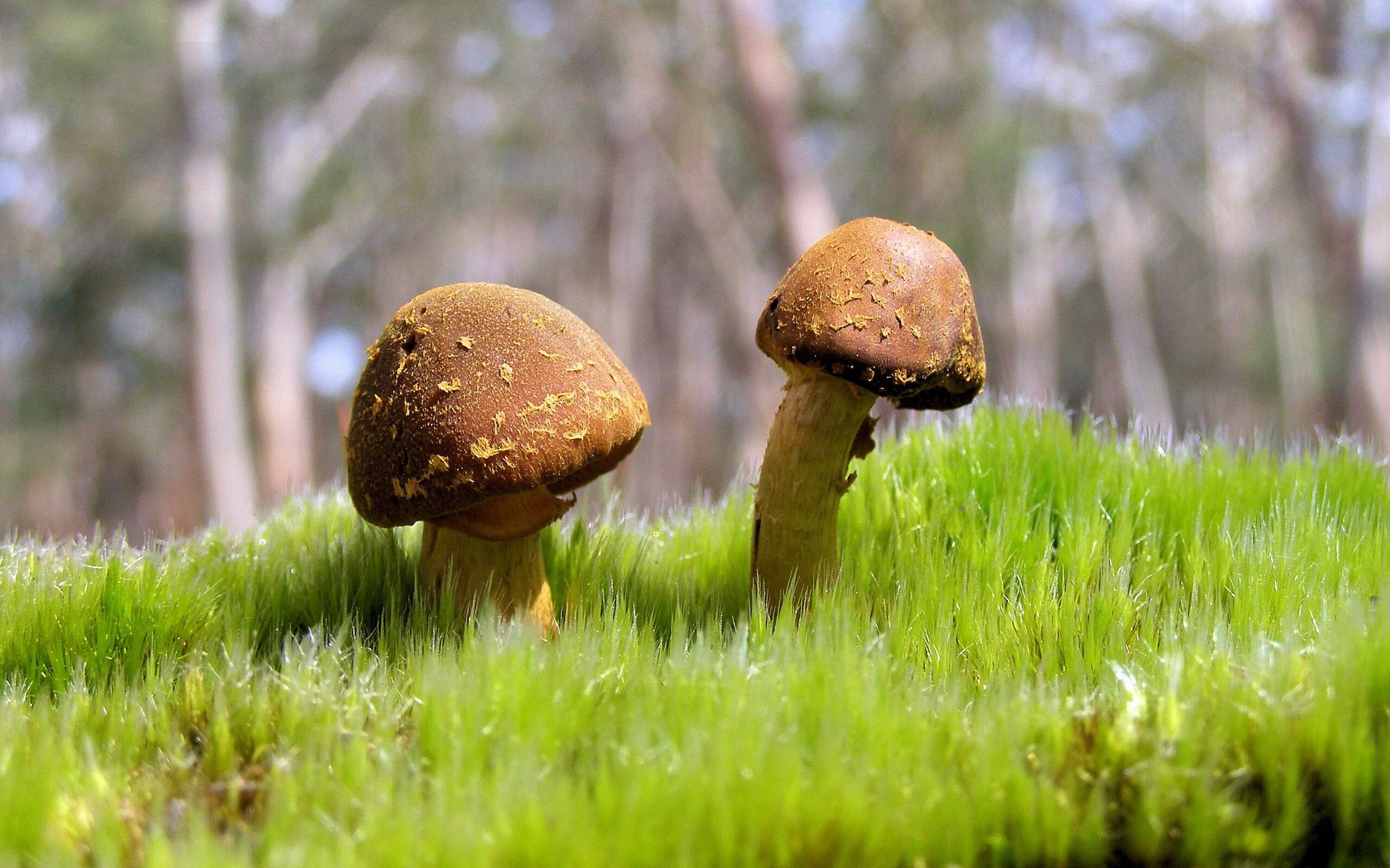 爱游戏体育官方入口-世界杯预选赛中国队战平 球迷希望下场反弹，世界杯预选赛中国队打平  第3张